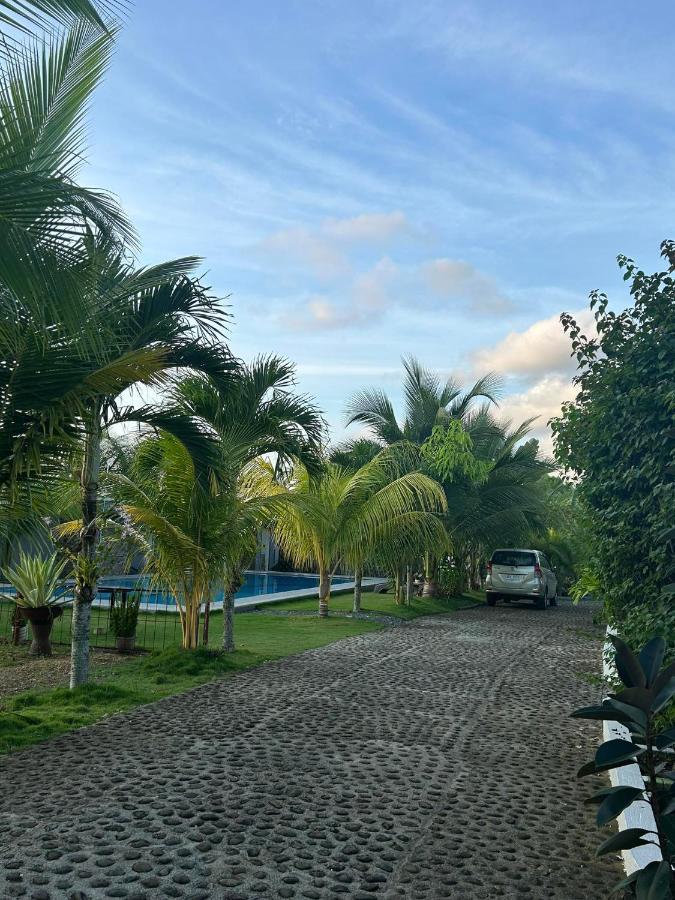 Hill View Home Stay Panglao-stad Buitenkant foto